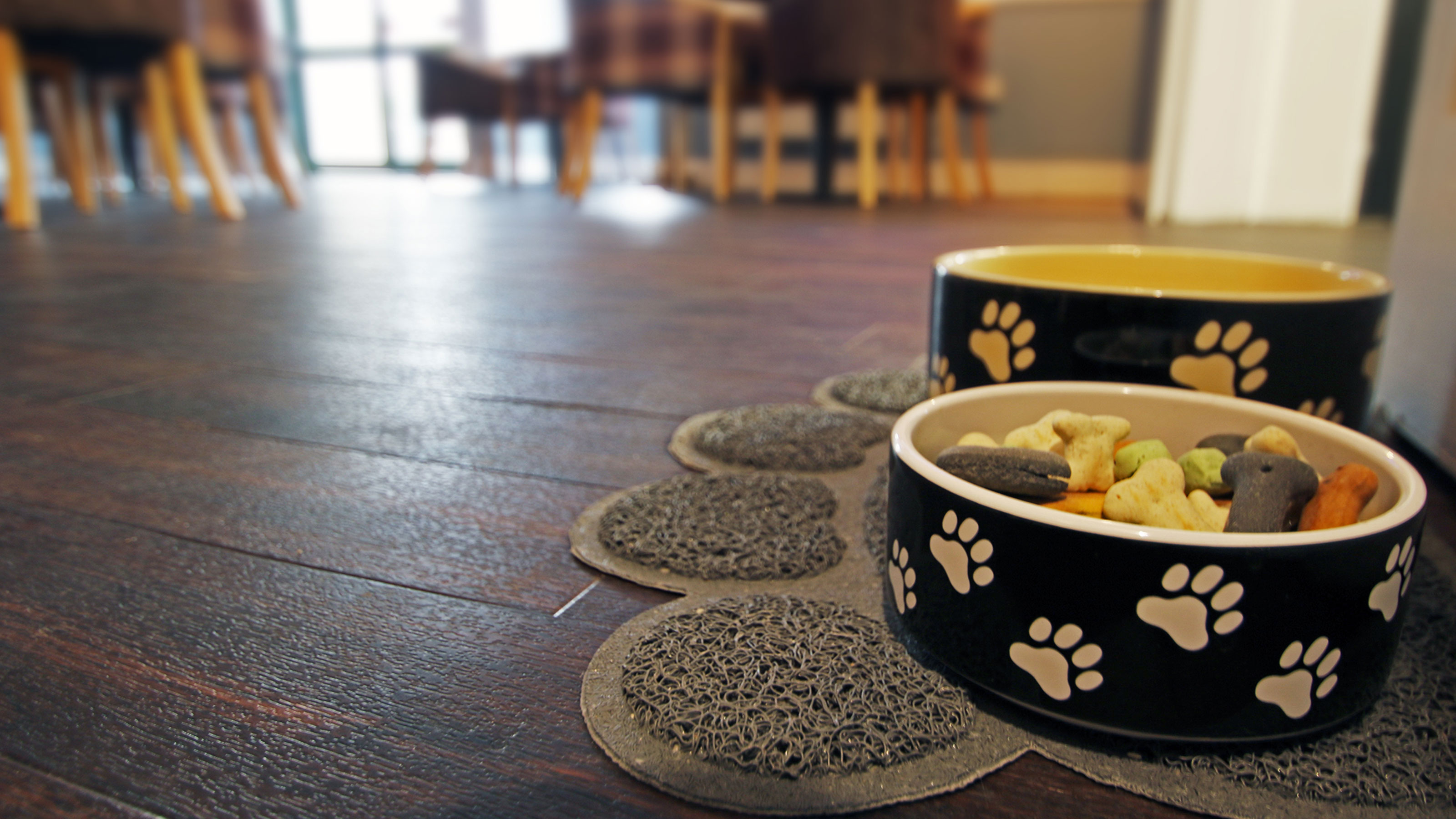 Dog-Friendly Milford Room with dog bowls and biscuits Dog-Friendly Milford Room with dog bowls and biscuits